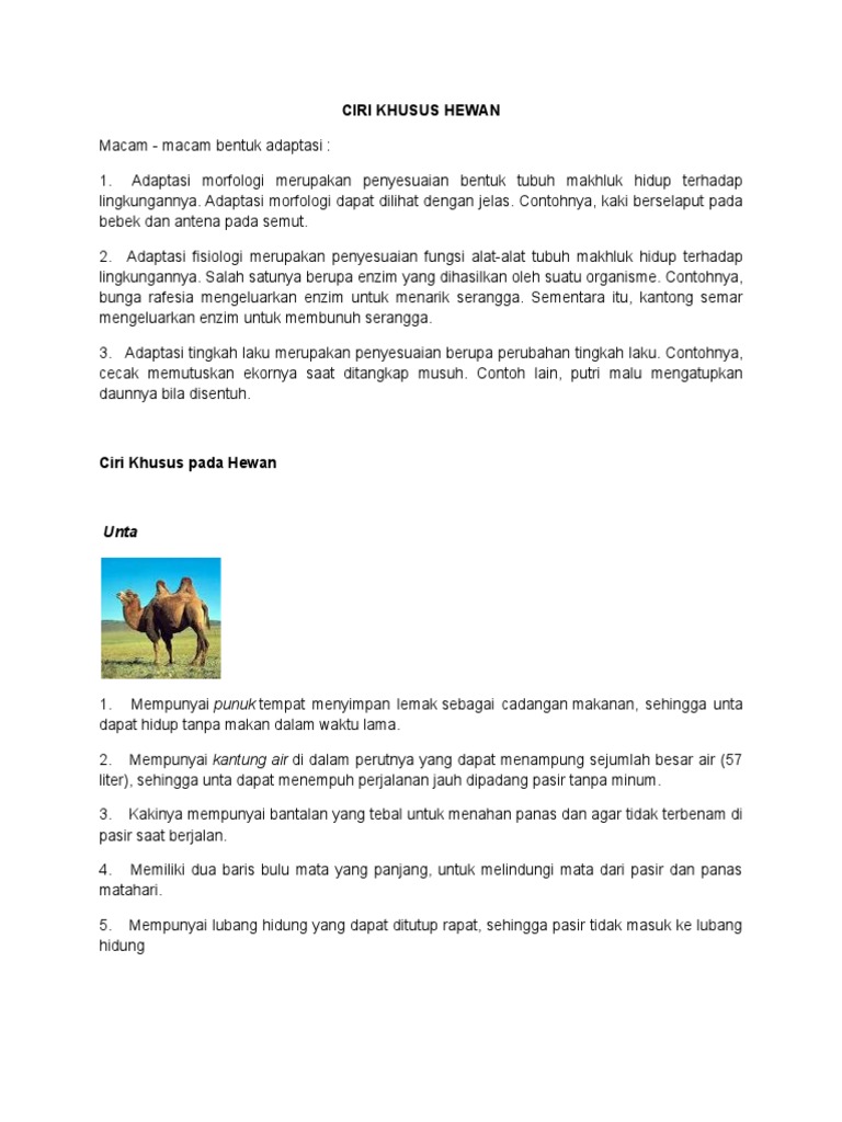 950 Koleksi Gambar Fungsi Air Bagi Hewan Gratis
