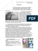 4 Depresivnost PDF