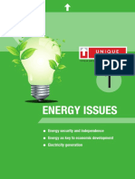 Energy Issues: Energy Security and Independence Energy As Key To Economic Development Electricity Generation