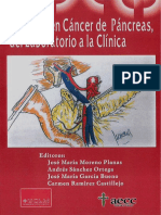 Avances en El Cancer de Pancreas.pdf