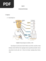 Download BAB II revisi 1 ardanti-revised 19 junidoc by Ardanti Putri SN354494753 doc pdf