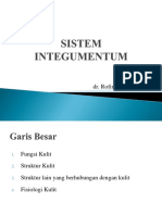 Sistem Integumentum