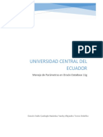 Manejo de Parametros Oracle