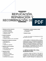 Replicacion.pdf
