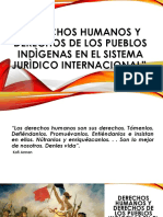 Dd.hh. y Dº de Los Pueblos Indigenas en El Sistema Juridico Internacional 20-07-17