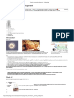 Timeline Human Development - Embryology