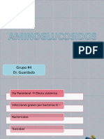 Aminoglucósidos