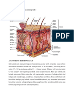 Jelaskan Anatomi Dan Histologi Kulit