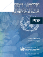 Comentario a la Declaración sobre defensoras y defensores de los derechos humanos