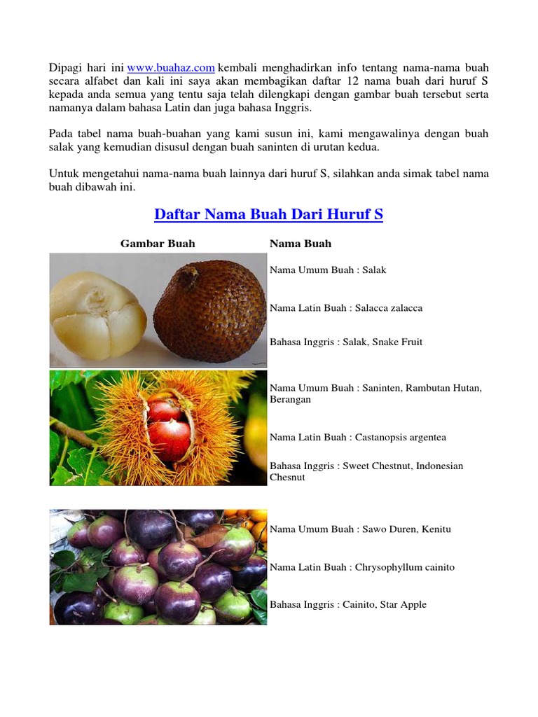Nama Buah Dari Huruf S
