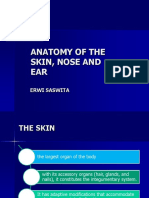Anatomi kulit, hidung dan telinga erwi (adrian erindra's conflicted copy 2014-02-07) (irwan danon's conflicted copy 2014-03-23).ppt