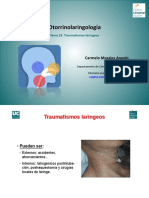 Tema 23 PDF