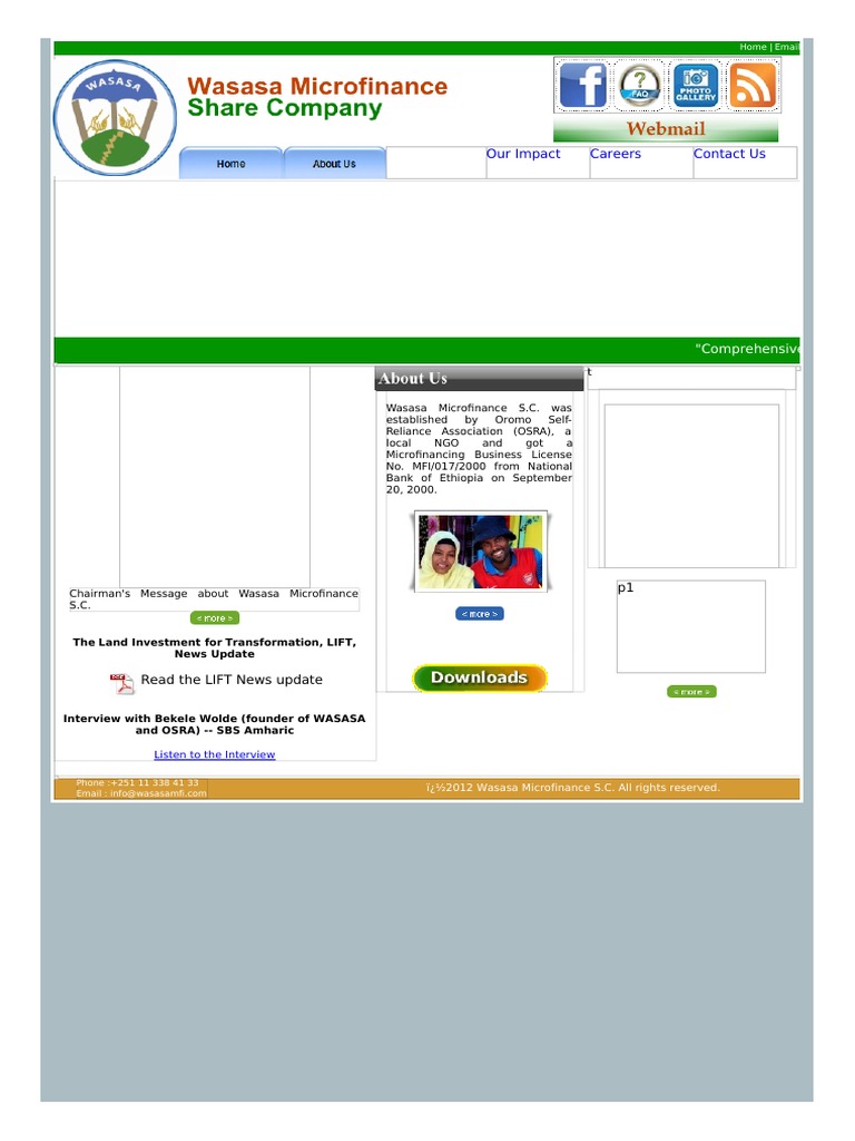 Wasasa Microfinance Overview | PDF