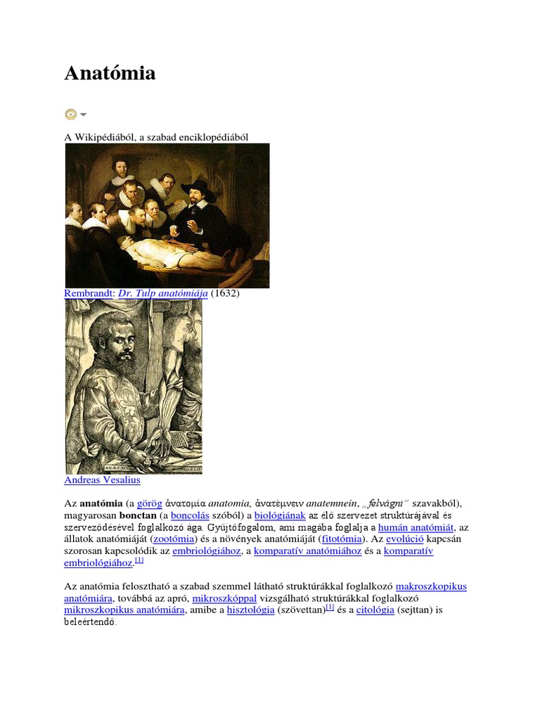 Anatomy visual data 2