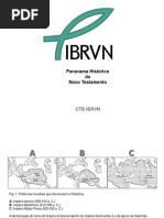 Panorama Histórico Do Novo Testamento