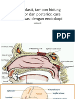 Septoplasti, Tampon Hidung Anterior Dan Posterior