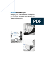 Mindjet Enterprise White Paper PDF