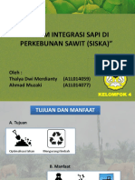 Sistem Integrasi Sapi Di Perkebunan Kelapa Sawit