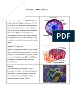 Organel - Organel Sel
