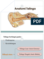 Anatomi Telinga 2