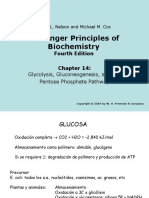 Glicolisis.ppt