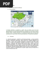 Trabalho Bigo Amazonia.docx