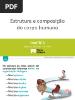 c2 Estrutura e Composic3a7c3a3o Do Corpo Humano
