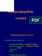 2012 Glomerulonefr - Cronice