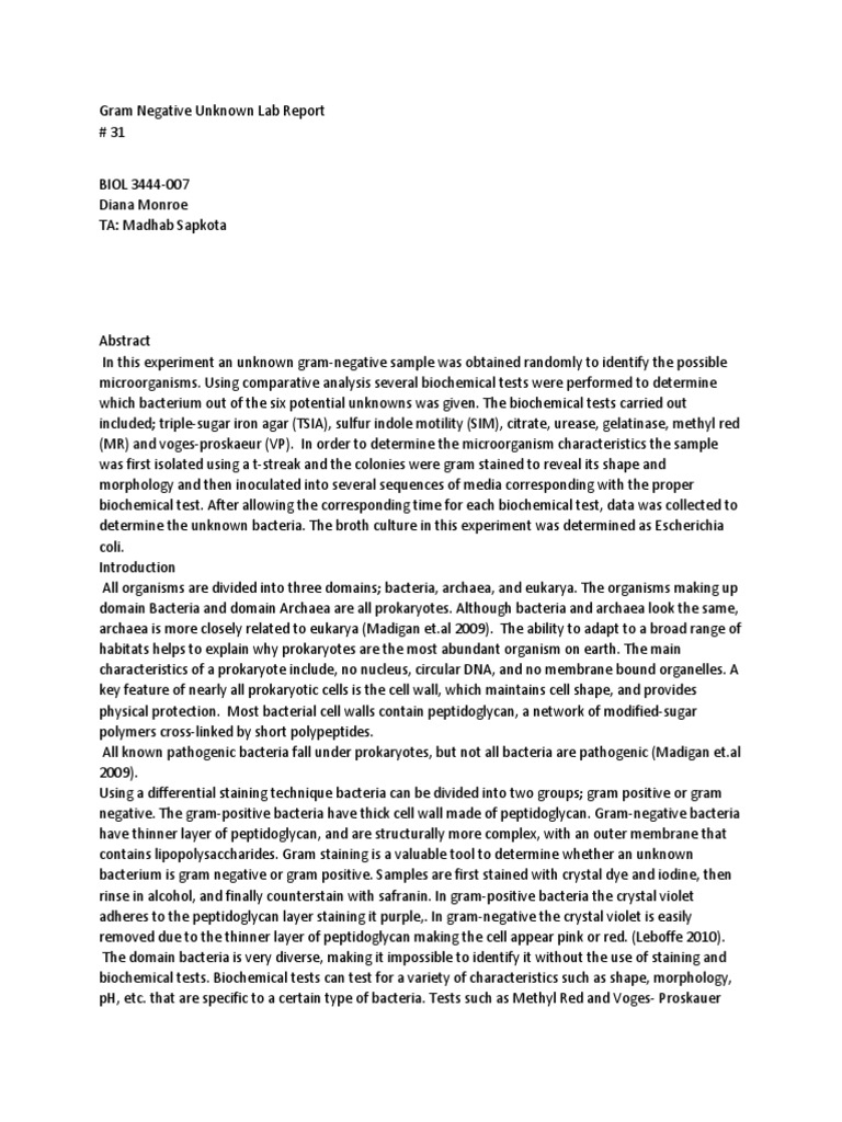 Microbiology Unknown Lab Report PDF Bacteria Gram Positive Bacteria