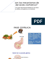 Preguntas de Fisiología Digestiva