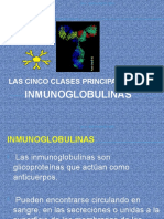 2.-Estructura de Las Inmunoglobulinas (2)