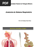 Anatomia do Sistema Respiratório.pptx