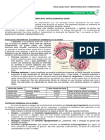 12 - Insulina e Hipoglicemiantes Orais