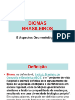 08 - Biomas Brasileiros.2017