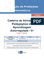 Prof.pdf