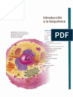 BIOQUIMICA 2