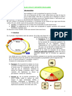 10 Ciclo y División Celulares