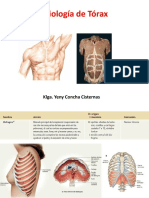 M TORAX - M ABDOMEN.pdf