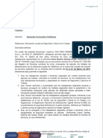 Formato-Declaracion de Seguridad y Salud Ambiental