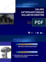 7.1 Ketergantungan Ekosistem