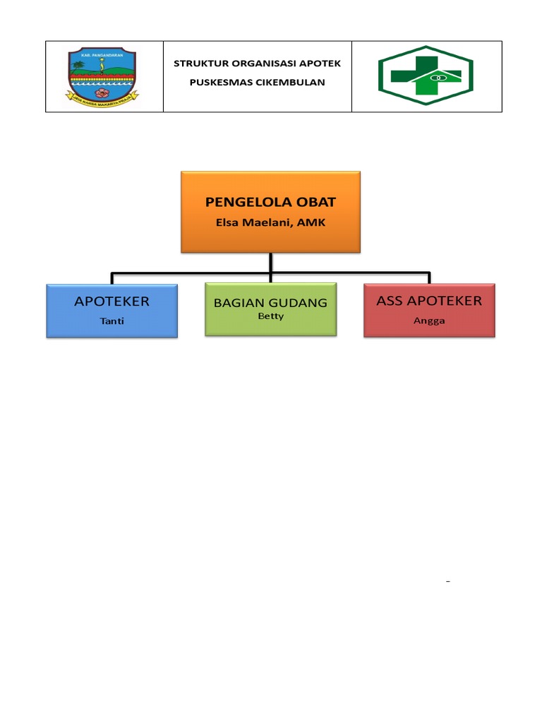 STRUKTUR ORGANISASI APOTEK
