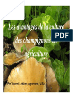 Avantages Culture Champis Agriculture