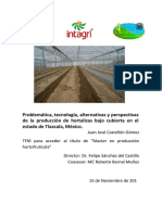 8. Perspectivas de La Produccion de Hortalizas Bajo Cubierta en Tlaxcala (Castellon)