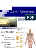 Axial Skeleton