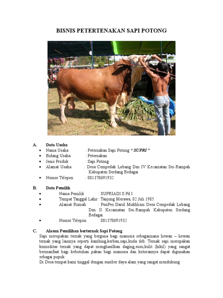 Sapi Proposal Supri