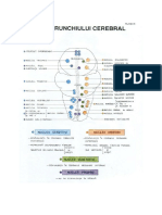 nuclei tc