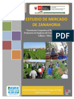 57464491-Estudio-de-Mercado-de-Zanahoria.pdf