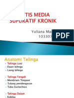 338648615-Omsk-ppt.ppt