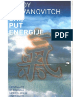 Chi, put energije - Vlady Stevanovich.pdf