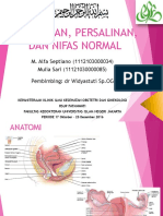 DT Kehamilan, Persalinan, Dan Nifas Normal